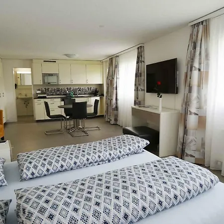 Eden Apartment Spiez
